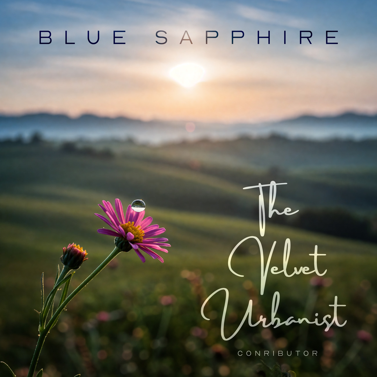 Premade Book Cover Rangitoto