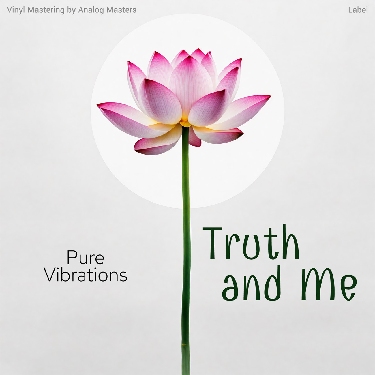 Premade Book Cover Bon Jour