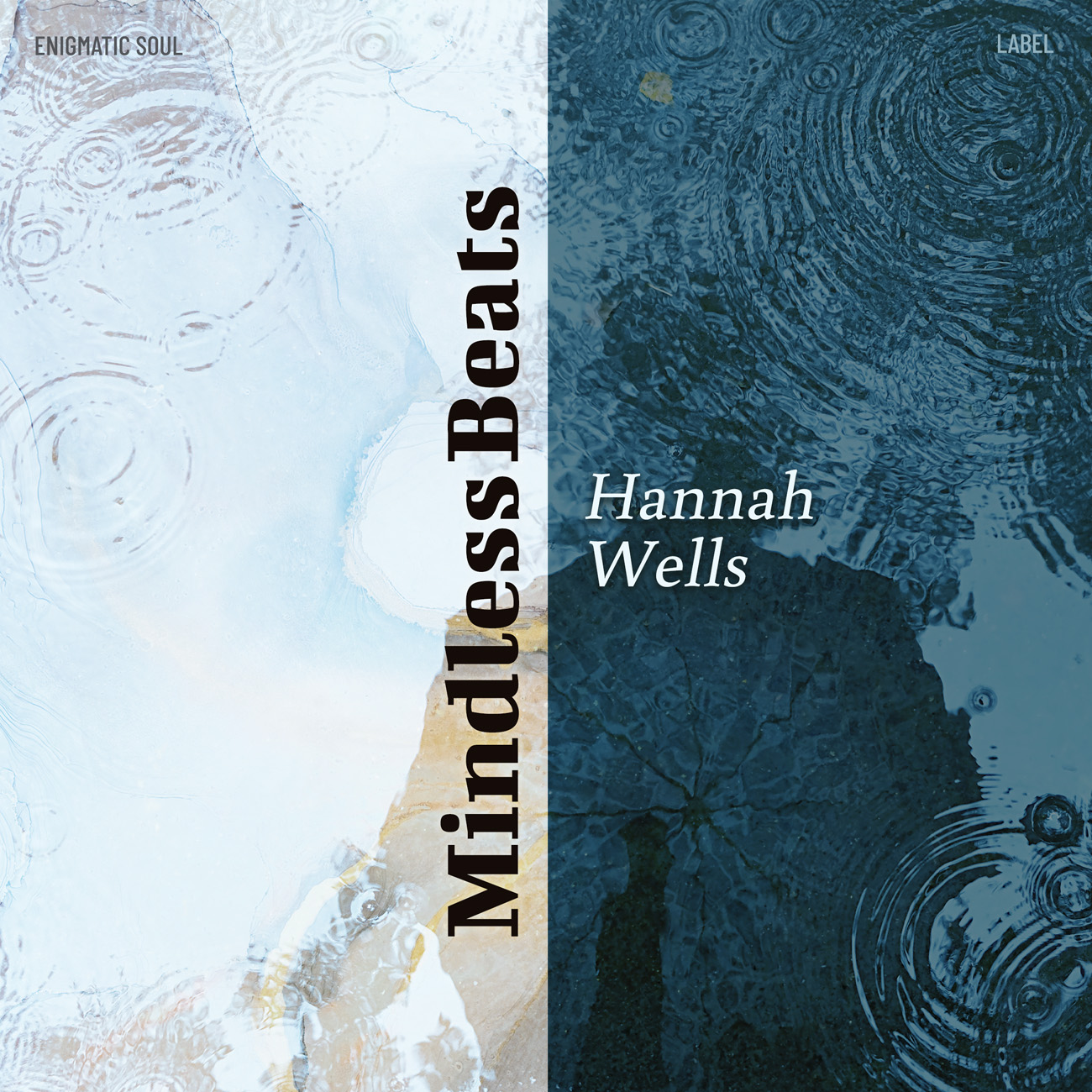 Premade Book Cover Blue Dianne