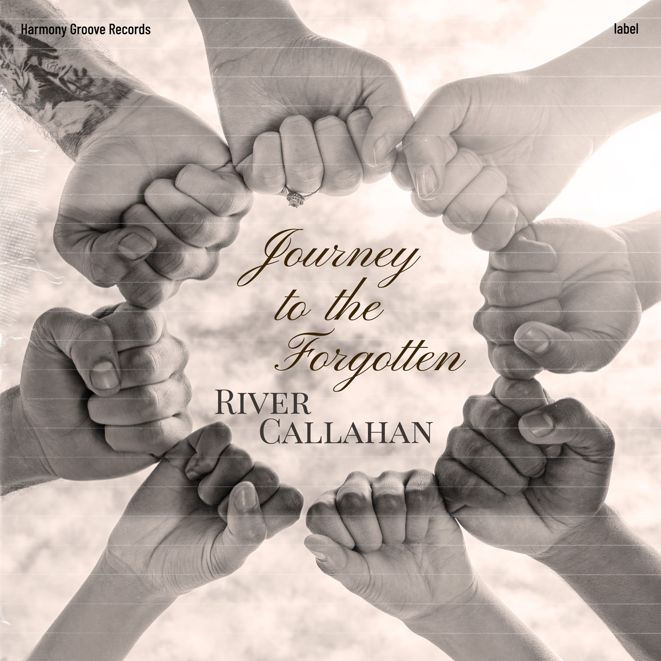 Premade Book Cover Swirl