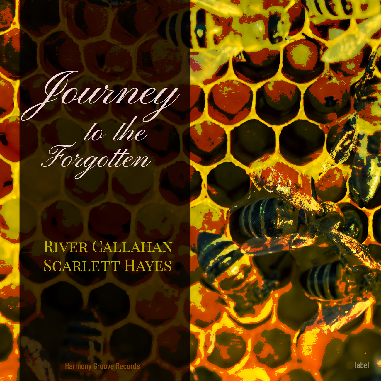 Premade Book Cover Pizza