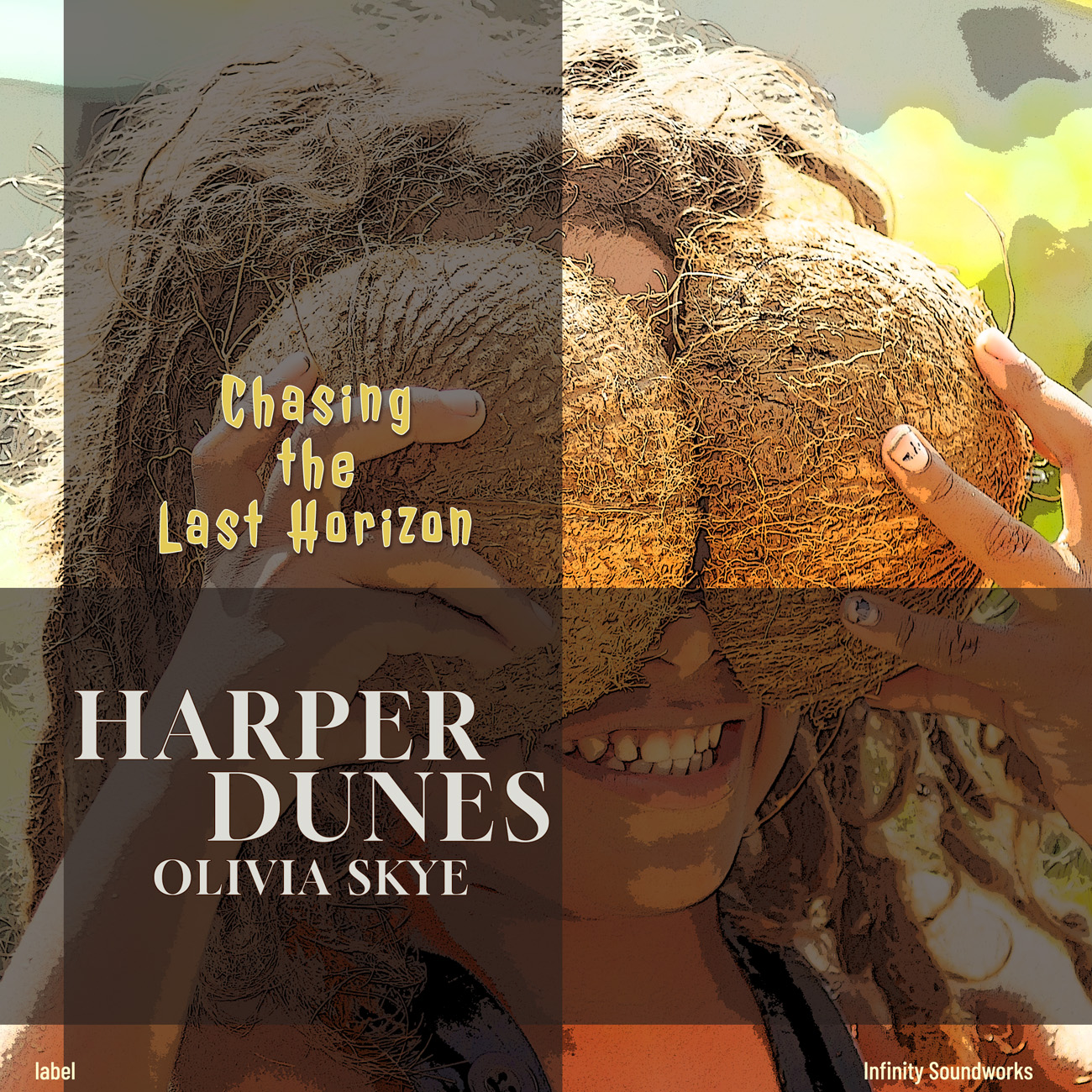Premade Book Cover Millbrook