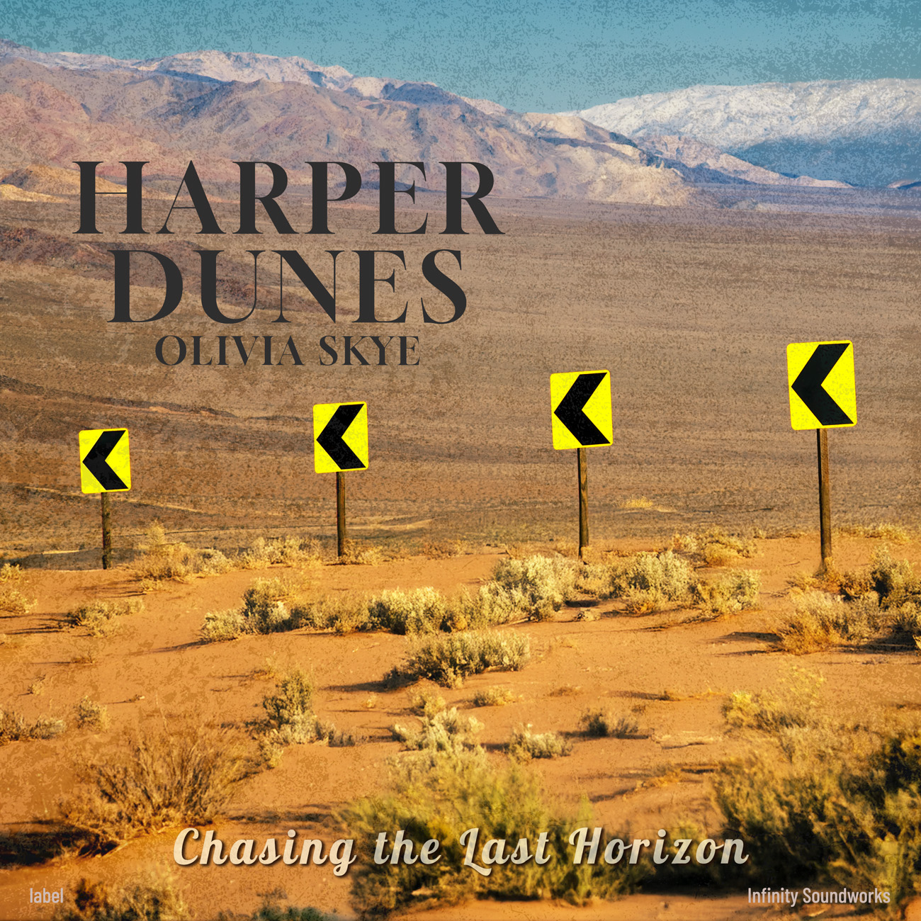 Premade Book Cover Driftwood