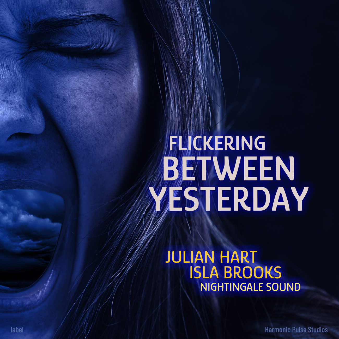 Premade Book Cover Haiti