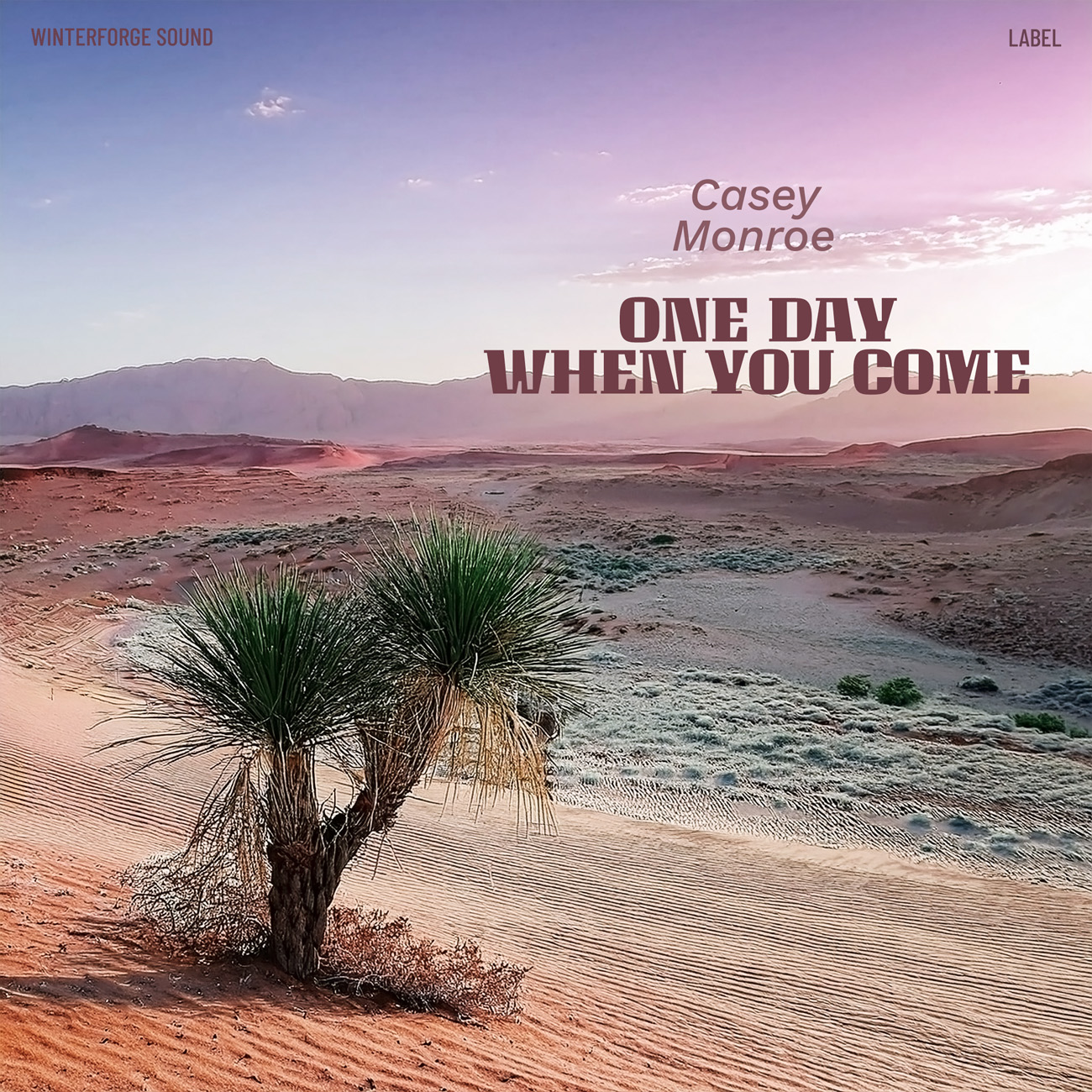 Premade Book Cover Dusty Gray