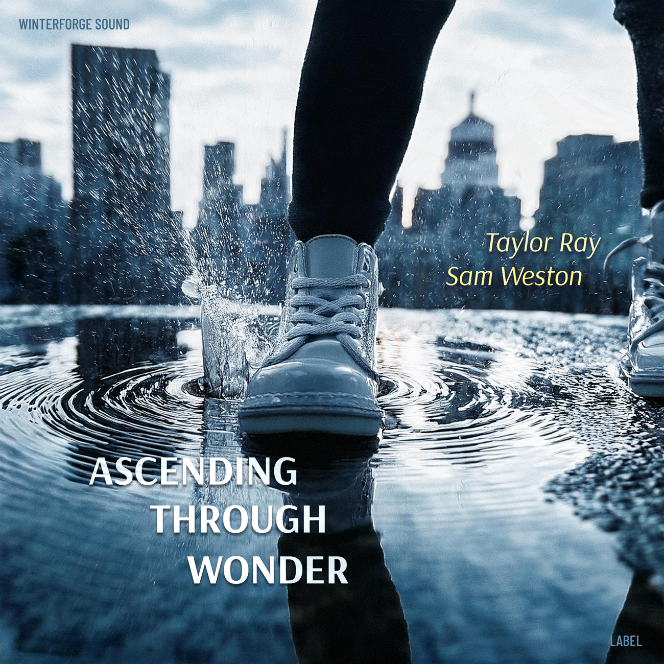 Premade Book Cover Geyser
