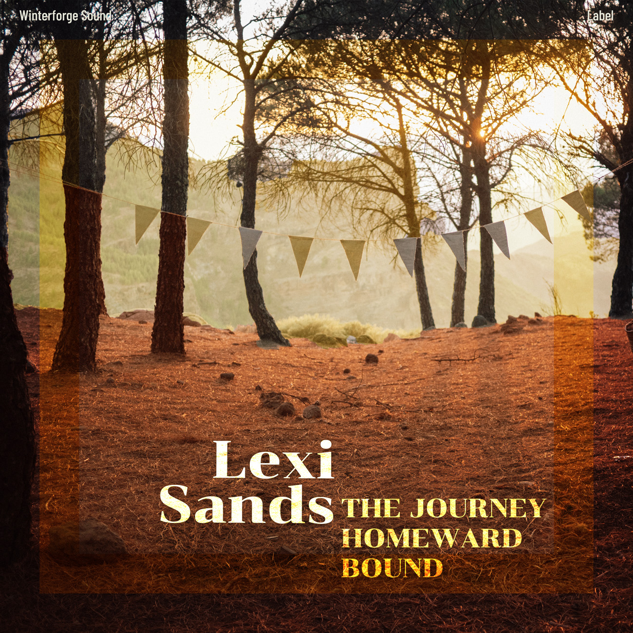 Premade Book Cover Brown Derby