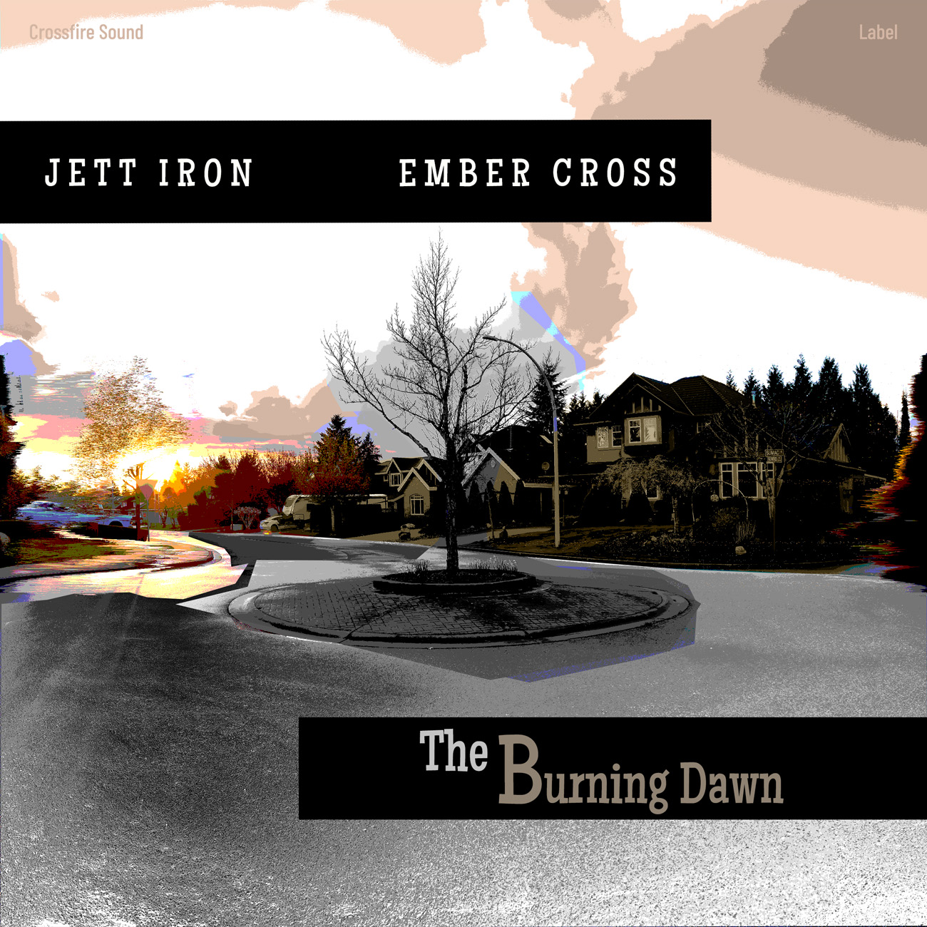 Premade Book Cover Bone