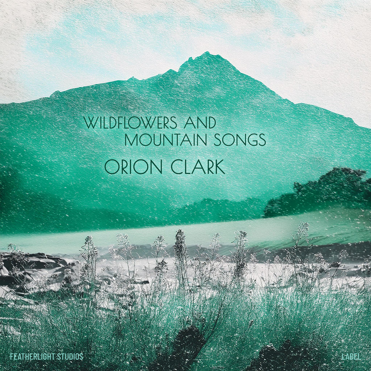 Premade Book Cover Ocean Green