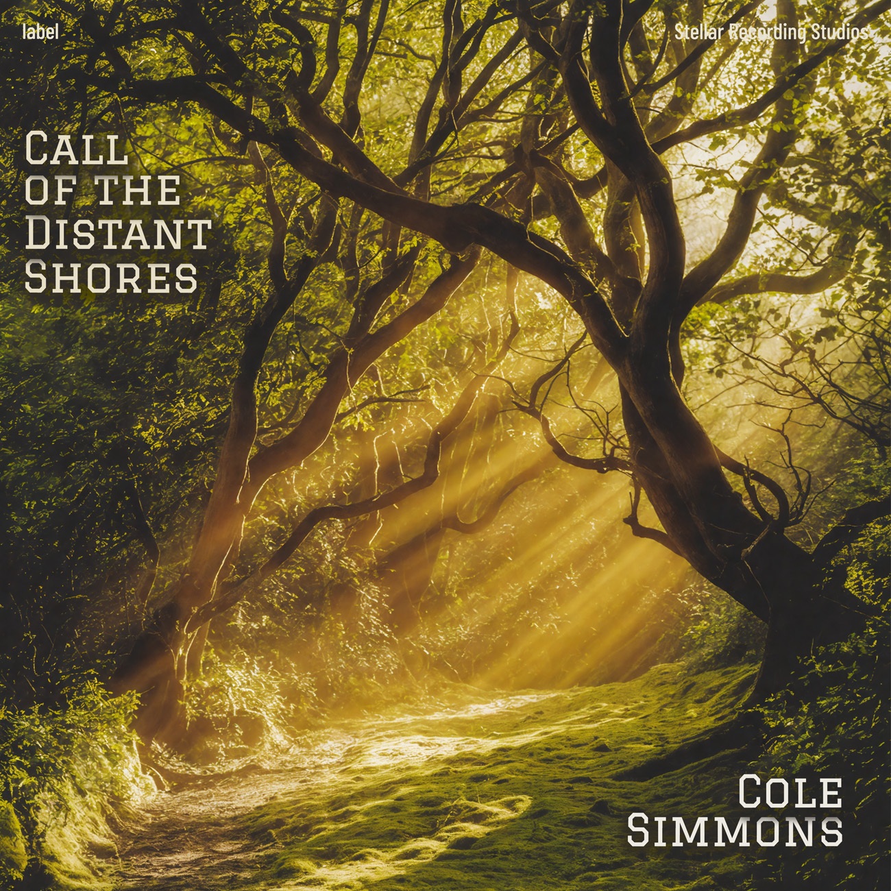 Premade Book Cover Lisbon Brown
