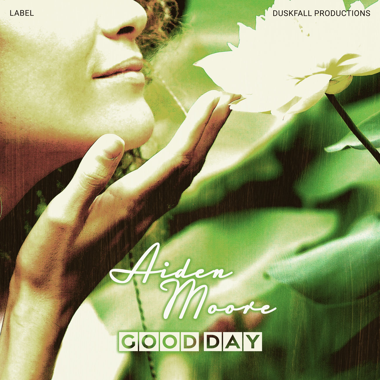 Premade Book Cover Thatch Green