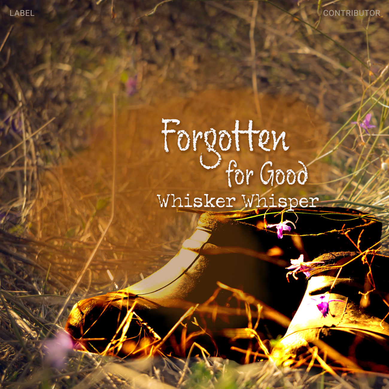 Premade Book Cover Dallas