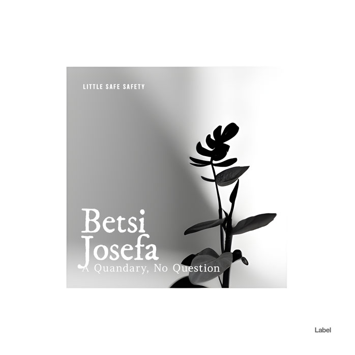 Premade Book Cover Nobel