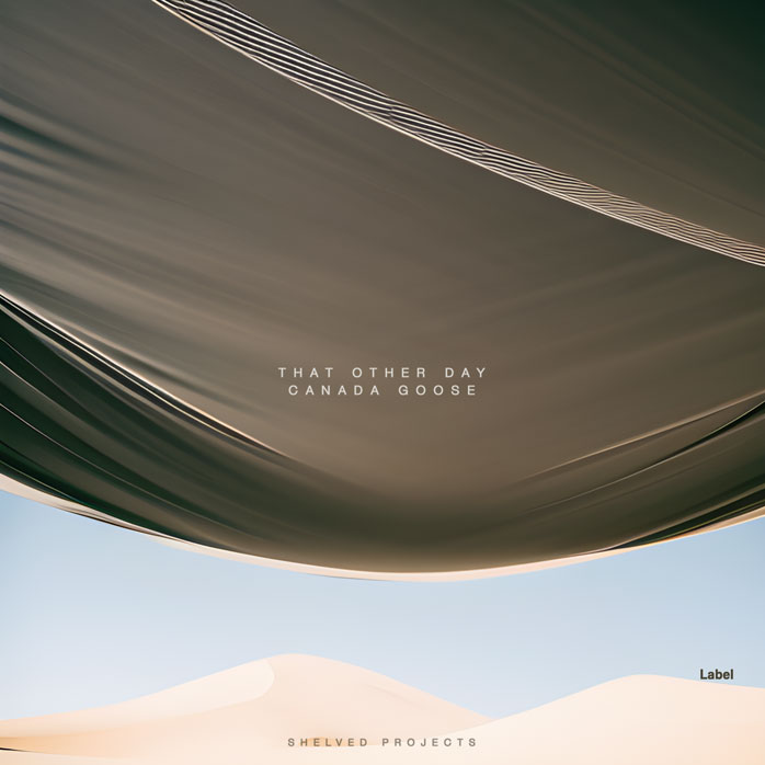Premade Book Cover Soya Bean