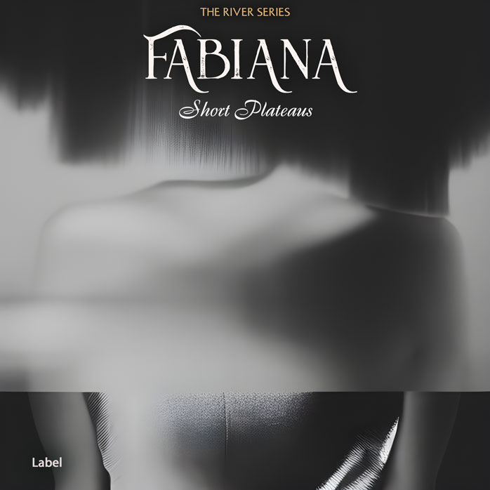 Premade Book Cover Mine Shaft