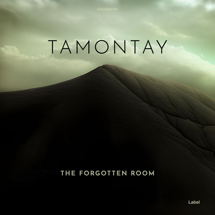 Premade Book Cover Rangoon Green