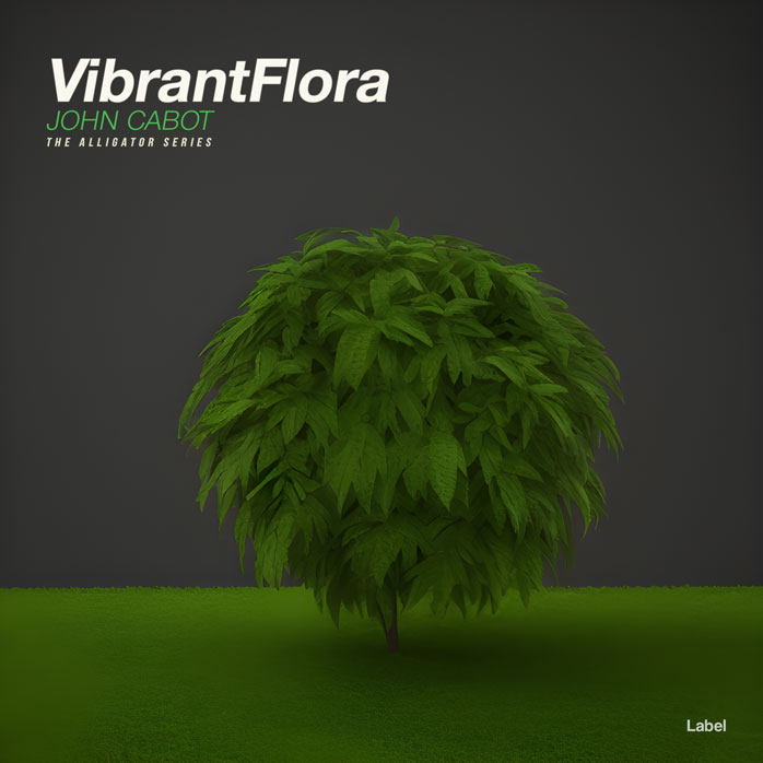 Premade Book Cover Green Kelp