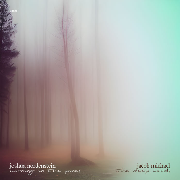Premade Book Cover Pumice