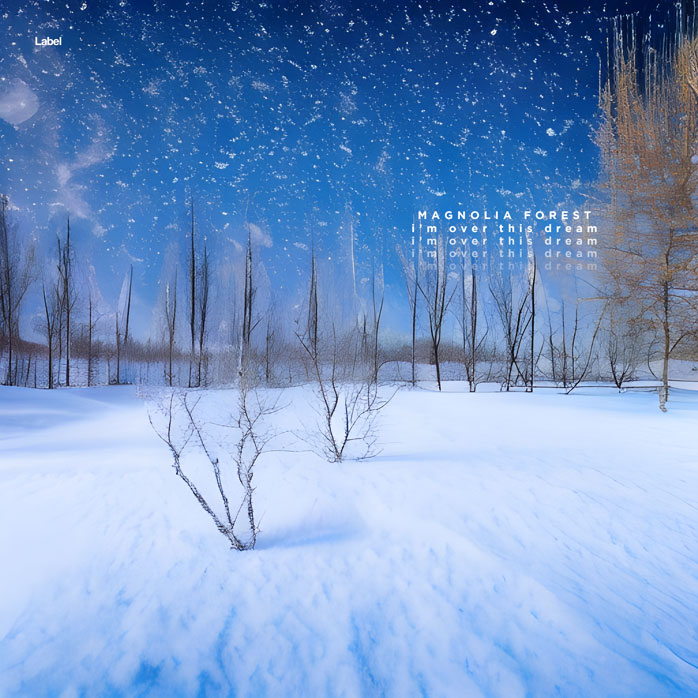 Premade Book Cover Polo Blue