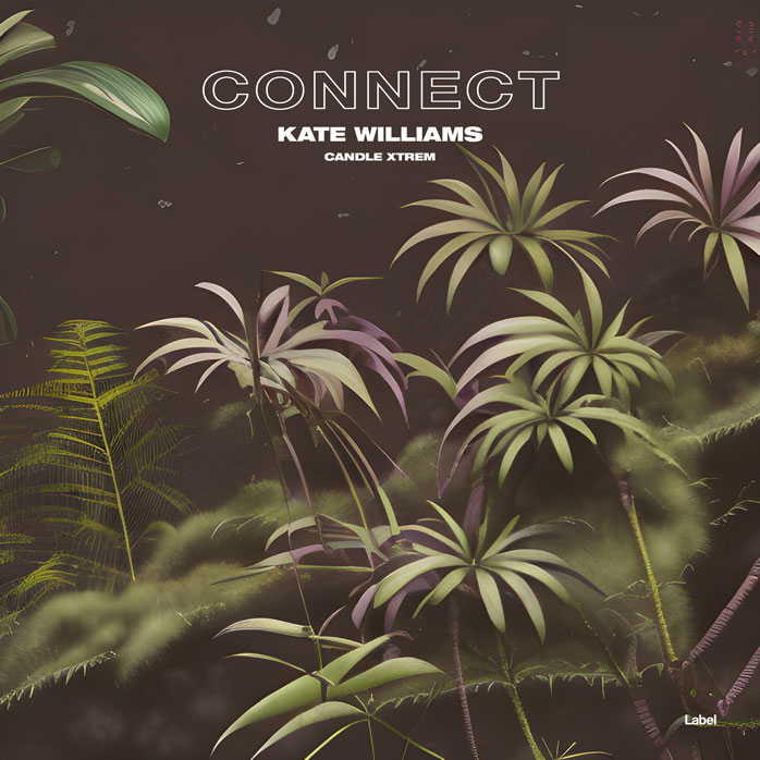 Premade Book Cover Taupe