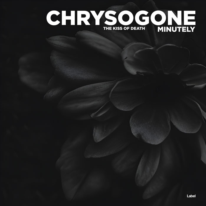 Premade Book Cover Cod Gray