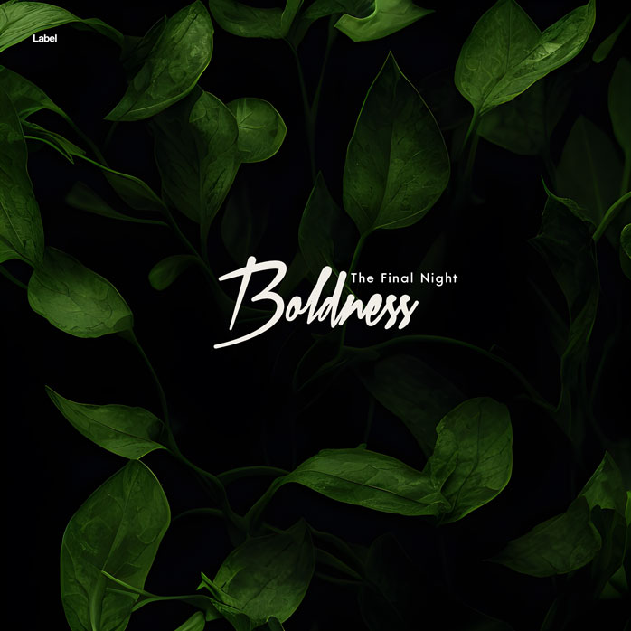 Premade Book Cover Gordons Green