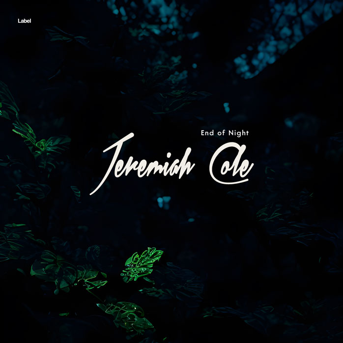 Premade Book Cover Ebony