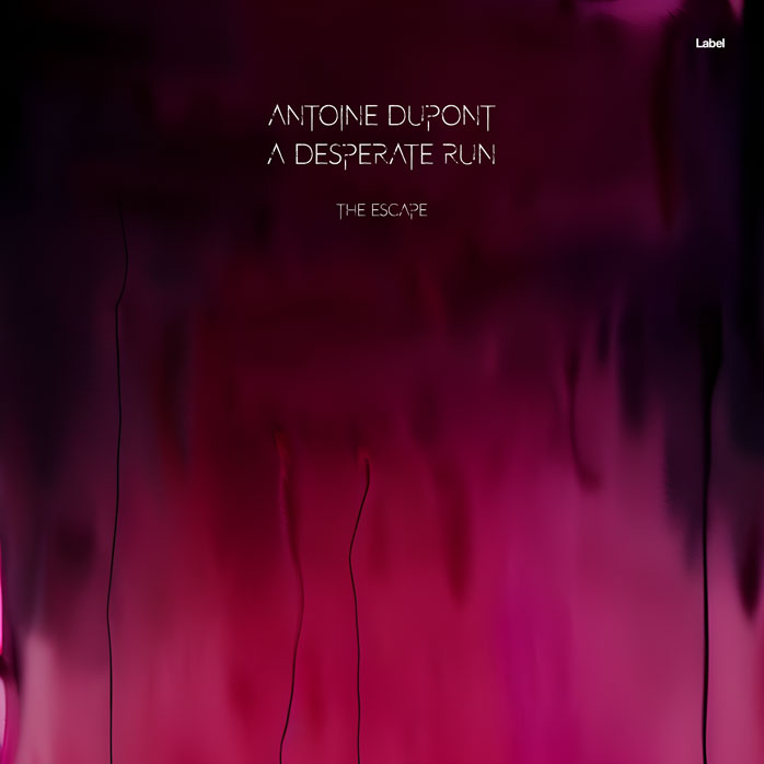 Premade Book Cover Disco