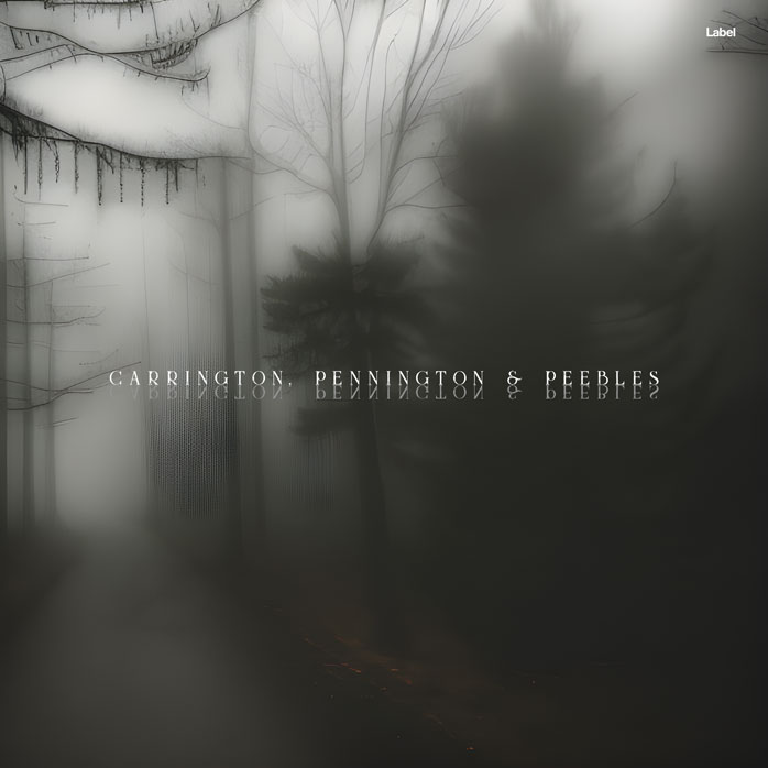 Premade Book Cover Tuatara