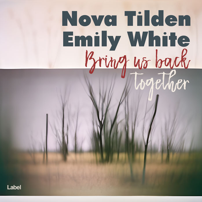 Premade Book Cover Cold Turkey