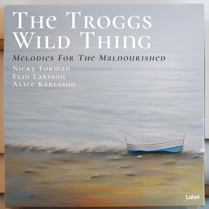 Premade Book Cover Gray Nickel