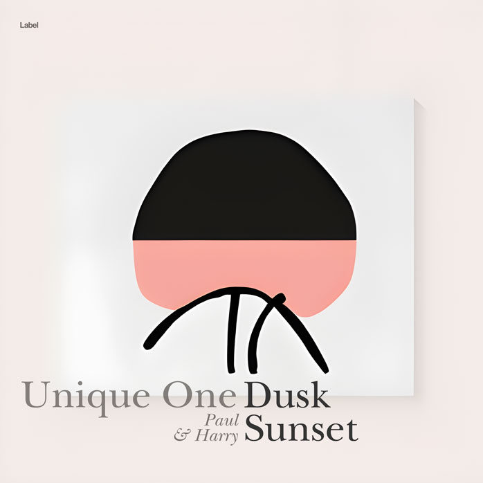 Premade Book Cover Dawn Pink