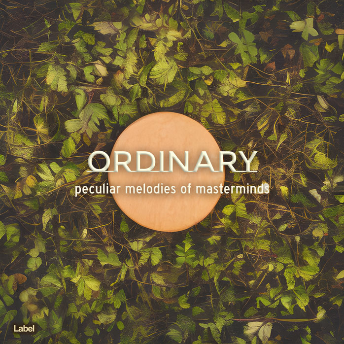 Premade Book Cover Judge Gray