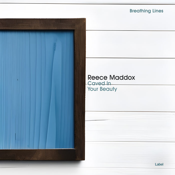 Premade Book Cover Wedgewood