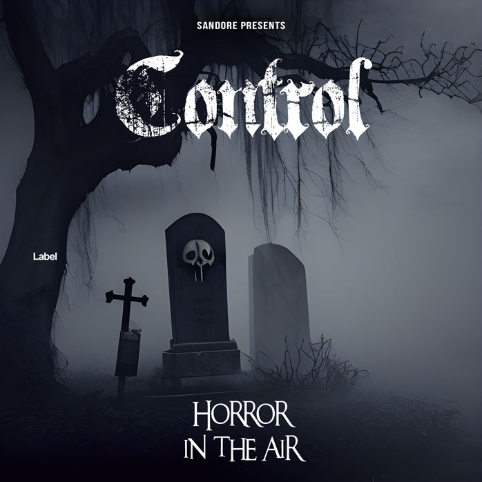 Premade Book Cover Charade