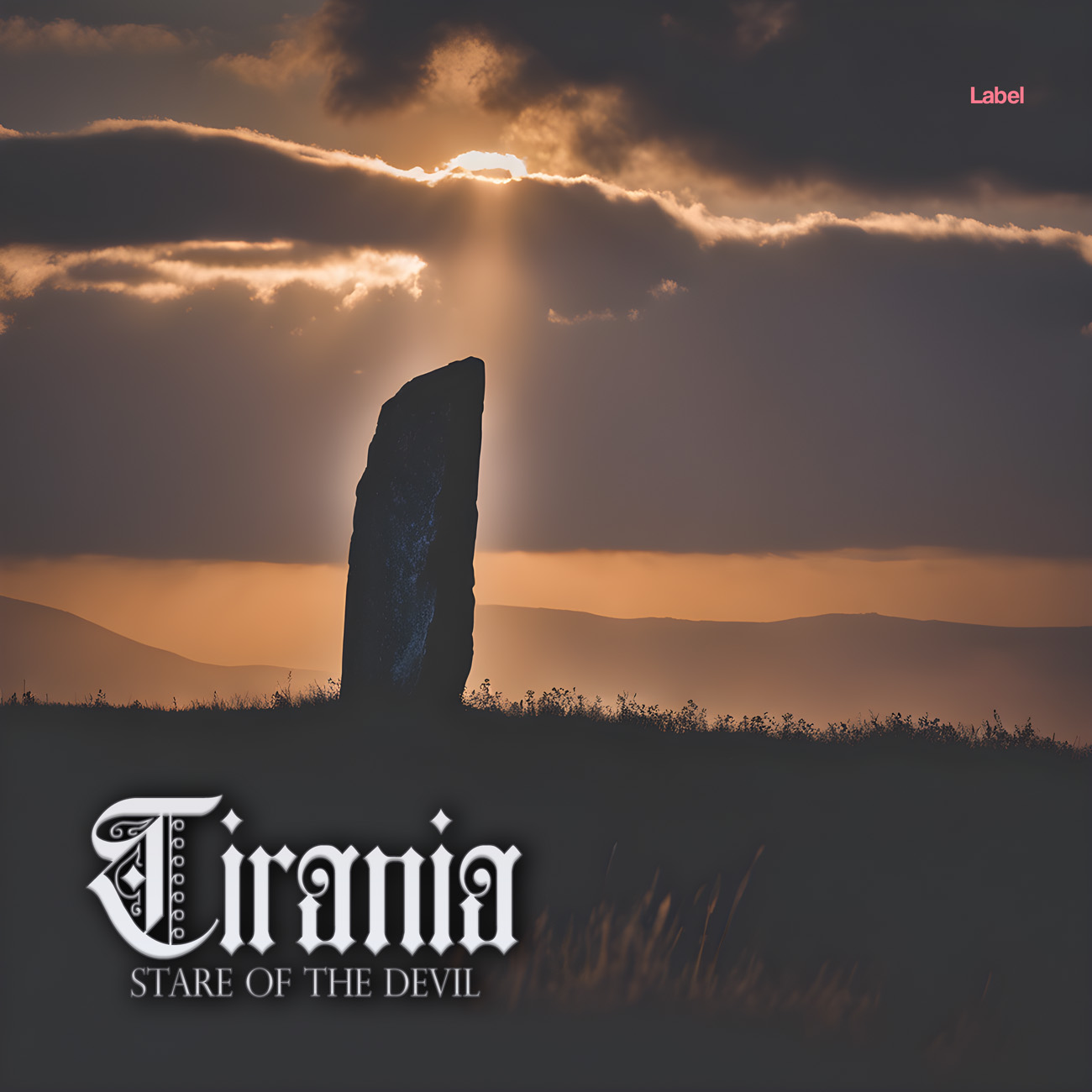 Premade Book Cover Tundora