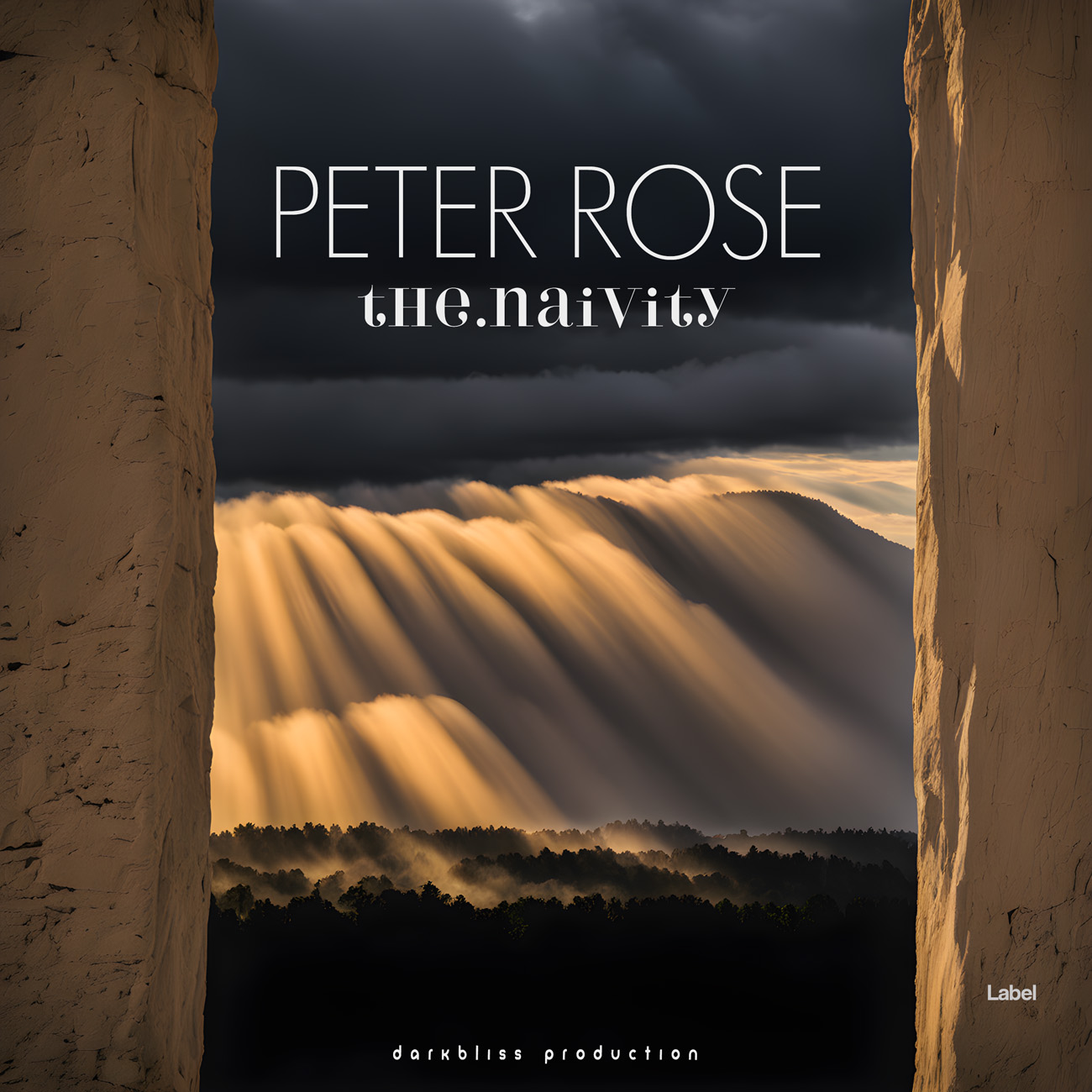 Premade Book Cover Taupe