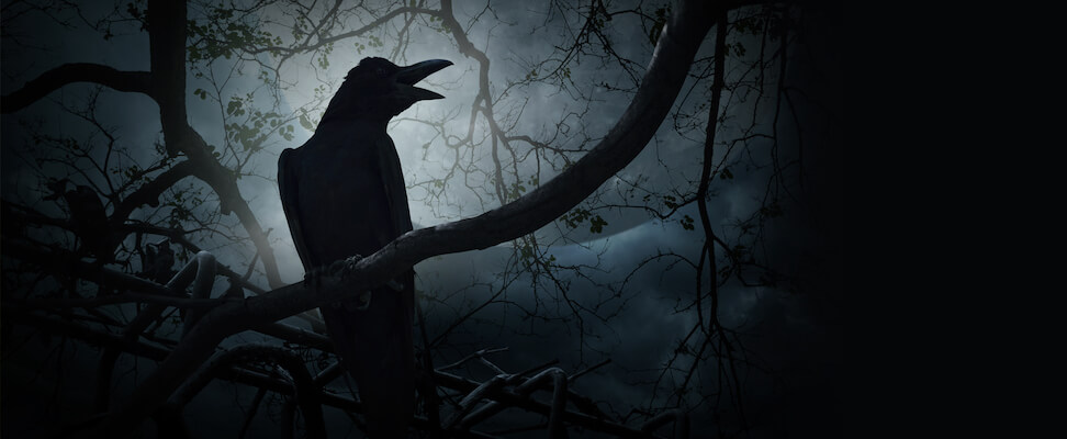 Heavy Metal Gothic Metal Custom Album Art