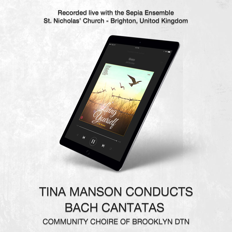 social media banner preview