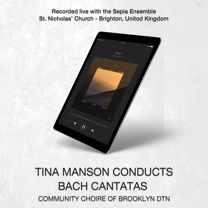 social media banner preview
