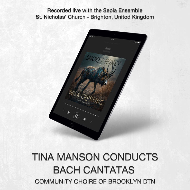 social media banner preview